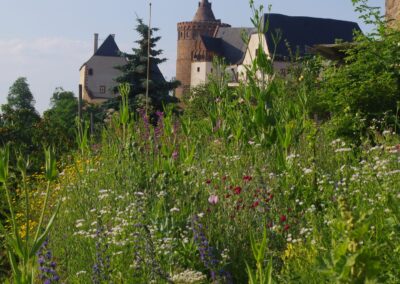 Schloss Mildenstein